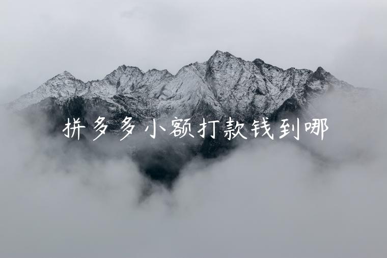 拼多多小額打款錢到哪